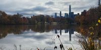 Fall in New York. Photographer: Chris Green