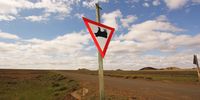 Once you’ve passed the Upside Down Cow sign, you’re nearly there. (Image: Chris Marais)
