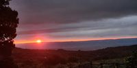 Sunset from 625Woolly Bugger Farm, where Afternoon Thing’s Sarah Hoek spent a fabulous week off. Photographer: Sarah Hoek</p>
<p>P4U_readersubmission_20250328