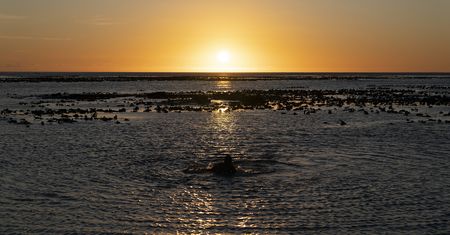 Covid-19: Giving meaning to ‘social solidarity’ through mental health support 