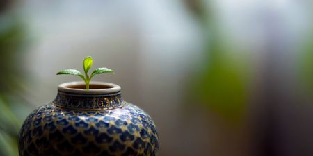 Shari’ah investing is ESG adjacent by design