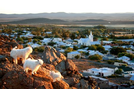 Prince Albert: ANC-Karoo coalition ousts DA from its long-controlled municipality