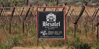 Bezalel Wine Estate, between Upington and Keimoes. (Photo: Chris Marais)<br>