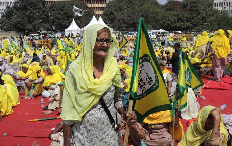Thousands of farmers rally in New Delhi to demand higher crop prices