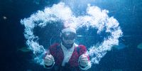 epa09618298 A South Korean diver wearing a Santa Claus costume performs in a tank at the Coex Aquarium in Seoul, South Korea, 03 December 2021.  EPA-EFE/JEON HEON-KYUN