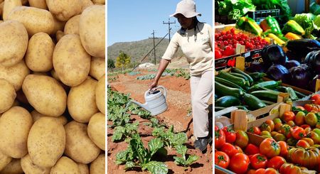 Wholesale fresh produce in ‘concerning state,’ finds the Competition Commission SA