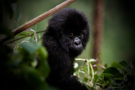 Taco Tuesday, and we’re all invited 