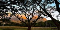 Sunrise with cloud shadows. Photographer: Jenni Bessesen