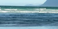 Muizenberg beach. Photographer: Alison Wilson 