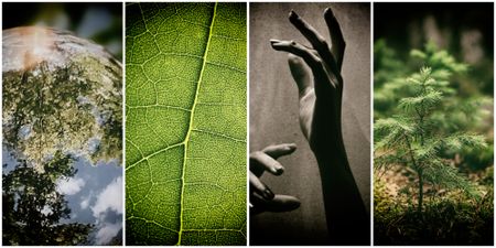 Humanity is living on borrowed ecological resources, running out of time