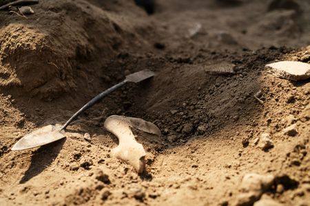 Hiss of brush, ring of trowel: the ancestors speak at Gwalala Hill