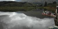 Berry Farm in the western Cape. Photographer: Phaldi Abrahams