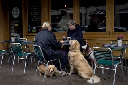Psychology can change the way food tastes — here’s how to use it to make the most of your meals
