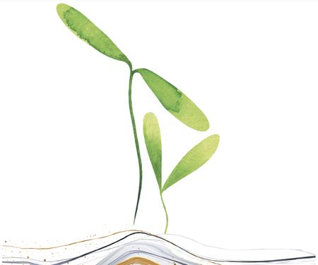 In a time of rebirth, renewal and resolutions, be like a snake