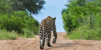 Heading home. Photographer: Greg Vercellotti