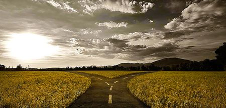 The ANC’s fork-in-the-road moment