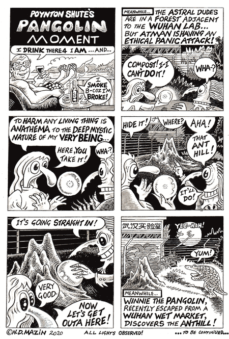 Poynton Shute’s Coronavirus Novel