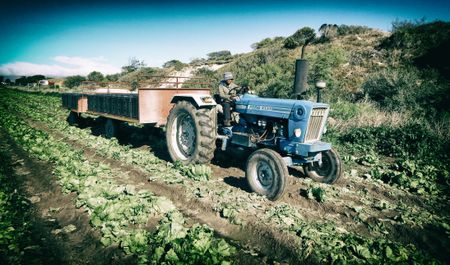 Findings of new study unequivocal – protect the horticultural haven