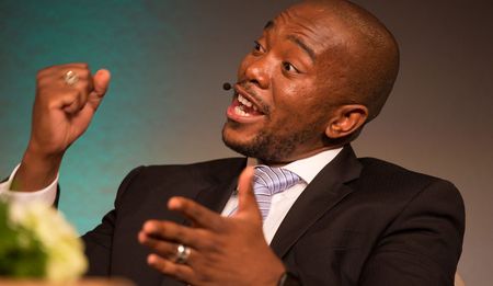 Land Reform: DA proposals ‘attainable without amending Constitution’