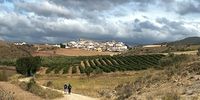 Fellow Pilgrims hiking through beautiful hamlets and winelands on the road between Puente la Reina and Estella, 7 August 2023. (Photo: Pauli van Wyk)