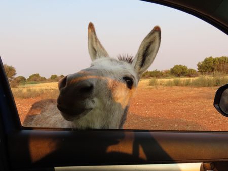 I have a picture for you! 06 August-13 September 2025