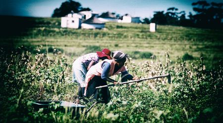 Communal Land Rights Bill ignores community views, conference told