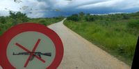 Bhekisisa-Moz-shocks