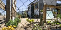 Decorative plants mingle with vegetables in this resident’s garden in Joyce Bangene informal settlement. ‘We can’t talk about the environment and climate change if people are hungry,’ says Ellen Fischat of the Atlantis Special Economic Zone. ‘But the first step is understanding that they have resources and can participate meaningfully.’ (Photo: Ashraf Hendricks)