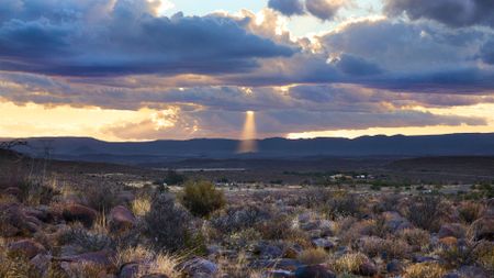 I have a picture for you! 15 March-21 March 2025