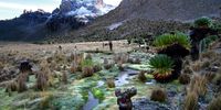“Magnificent Mt. Kenya.” Photographer: Benine du Toit