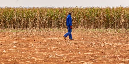 SA Weather Service extends dryer and warmer-than-usual forecast to November