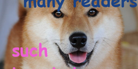 A doge meme. Image: 	Roberto Vasarri / Wikimedia Commons