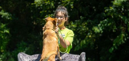 It's All In The Numbers!