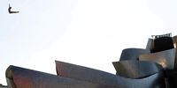 Steven Lobue of the US in action during a training session for the Cliff Diving World Series final in front of the Guggenheim museum in Bilbao, Spain, 12 September 2019. The Red Bull Cliff Diving World Series final, taking place on 13 and 14 September 2019, will be the first one permitting women to compete.  EPA-EFE/LUIS TEJIDO