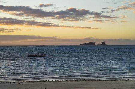 Seven more dolphins found dead on Mauritius beach near oil spill