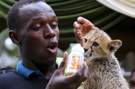 Fastest land animal meets fastest man