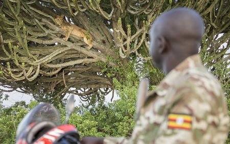 Conservation tourism in Africa brought to its knees by Covid-19 travel bans