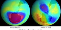 The Antarctic Ozone Hole in 2001 compared to 2002. Image by Greg Shirah, NASA GSFC Scientific Visualization Studio, based on data from EPTOMS.