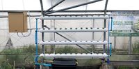 The hydroponics system at Pelican Park High School will be used to train  learners and women