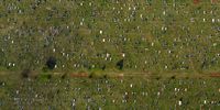 A drone view of Avalon Cemetery in Johannesburg. (Photo: Our City News / James Oatway)