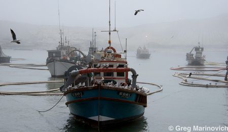 amaBhungane and Scorpio: A tale of two captures – Alexkor, Gupta Inc and ‘WMC’