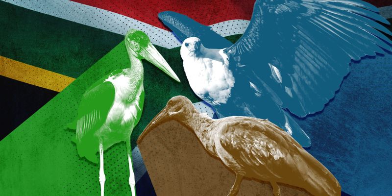 South Africa’s future: Three economic scenarios explored

