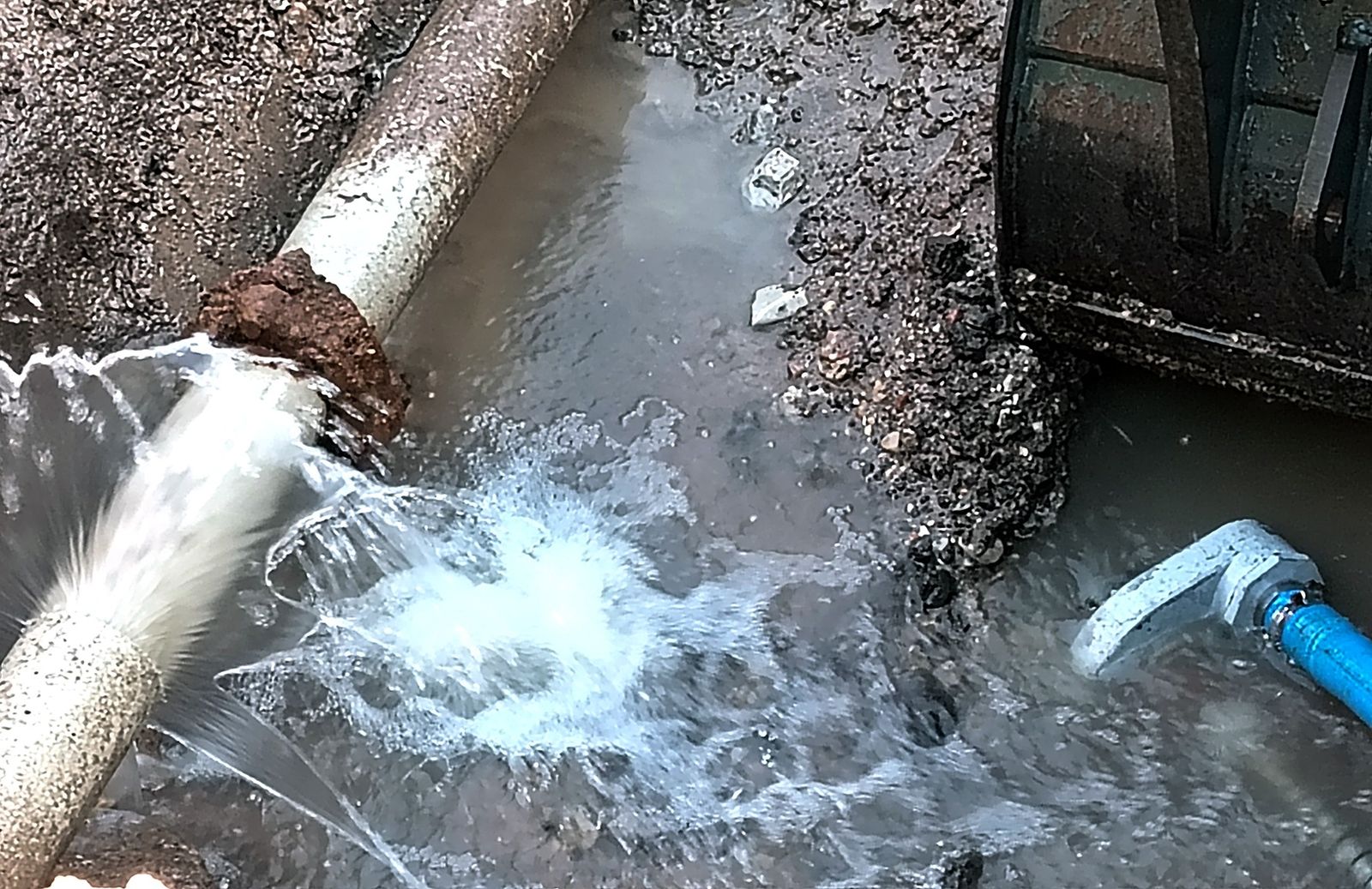 Knysna has days of water left after years of ‘long-term operational and ...