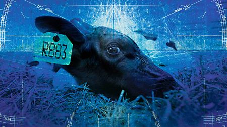 Film review: 'The Ghosts in Our Machine'