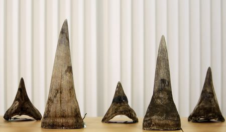 Horn of contention: pro-trade thinking comes in for criticism