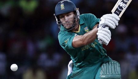 Fading flowers: poor Proteas are wilting