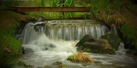 A waterfall at the Nirox Sculpture Park, Kromdraai, Johannesburg.