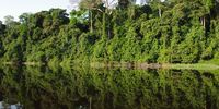 The Ivindo River in Gabon, part of the Congo Basin