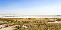 This is Etosha – forever! Photographer: Peter Strydom</p>
<p>