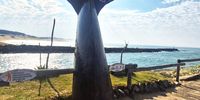 Estelle-Port Alfred name change
